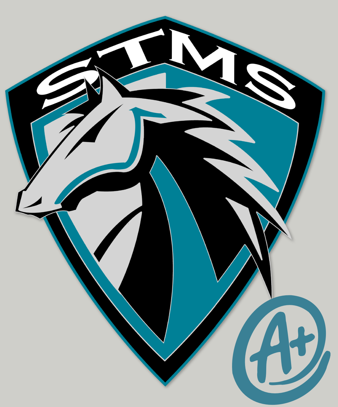 STEM logo